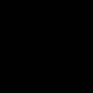 Meet your Posher, Oscar